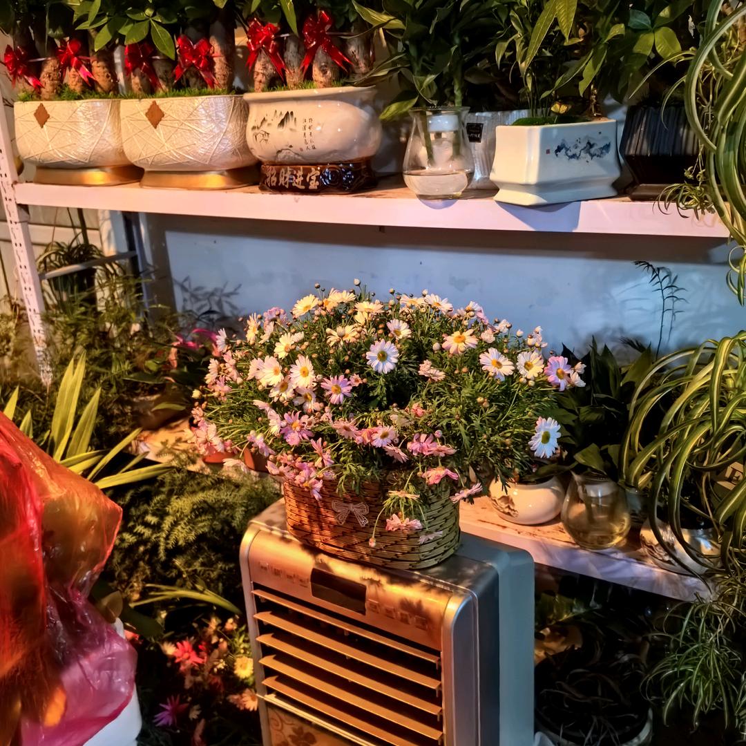 蜂蜜抽子