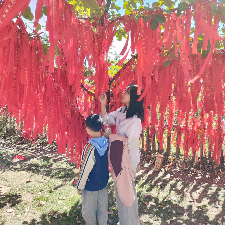 宸宝