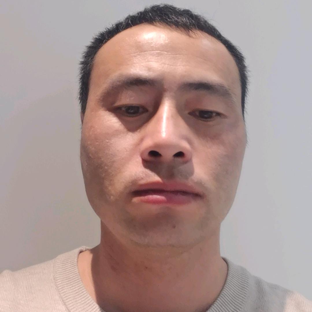 中年鲁班七号