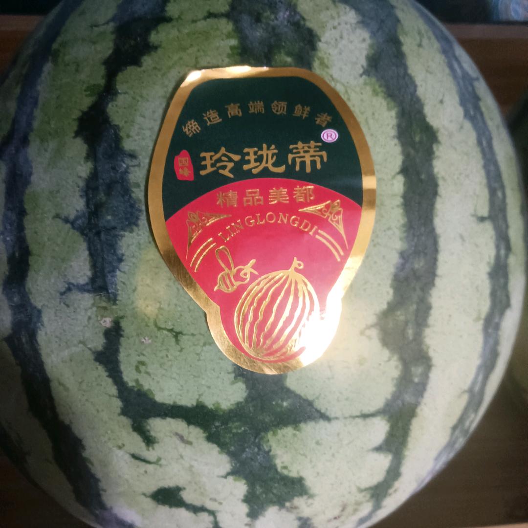 棉花糖兔