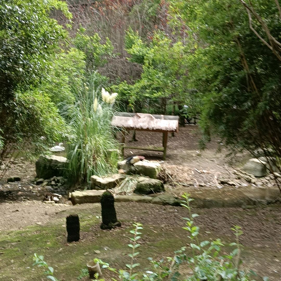 小菊姐🌿