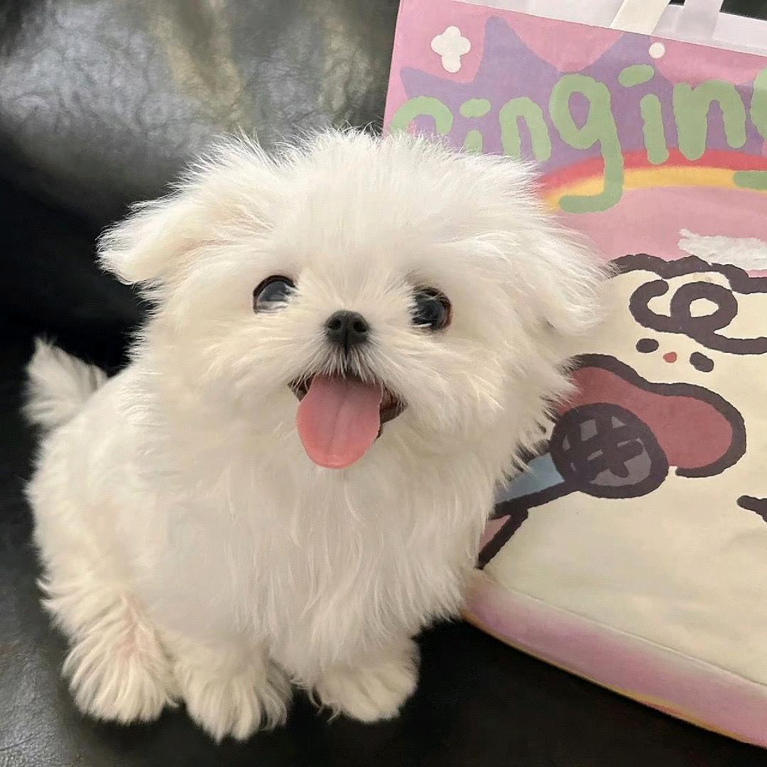 🎀