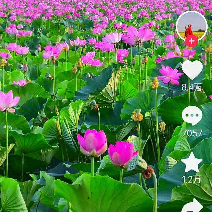 神密人