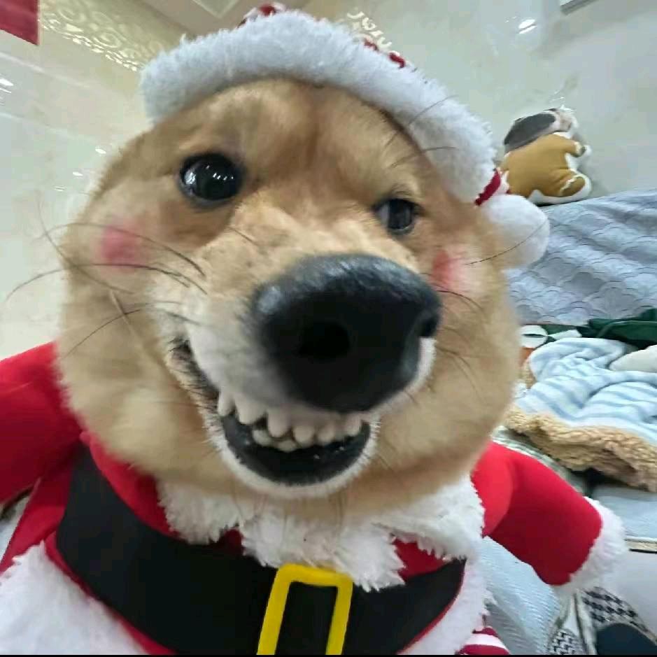 。。。。，