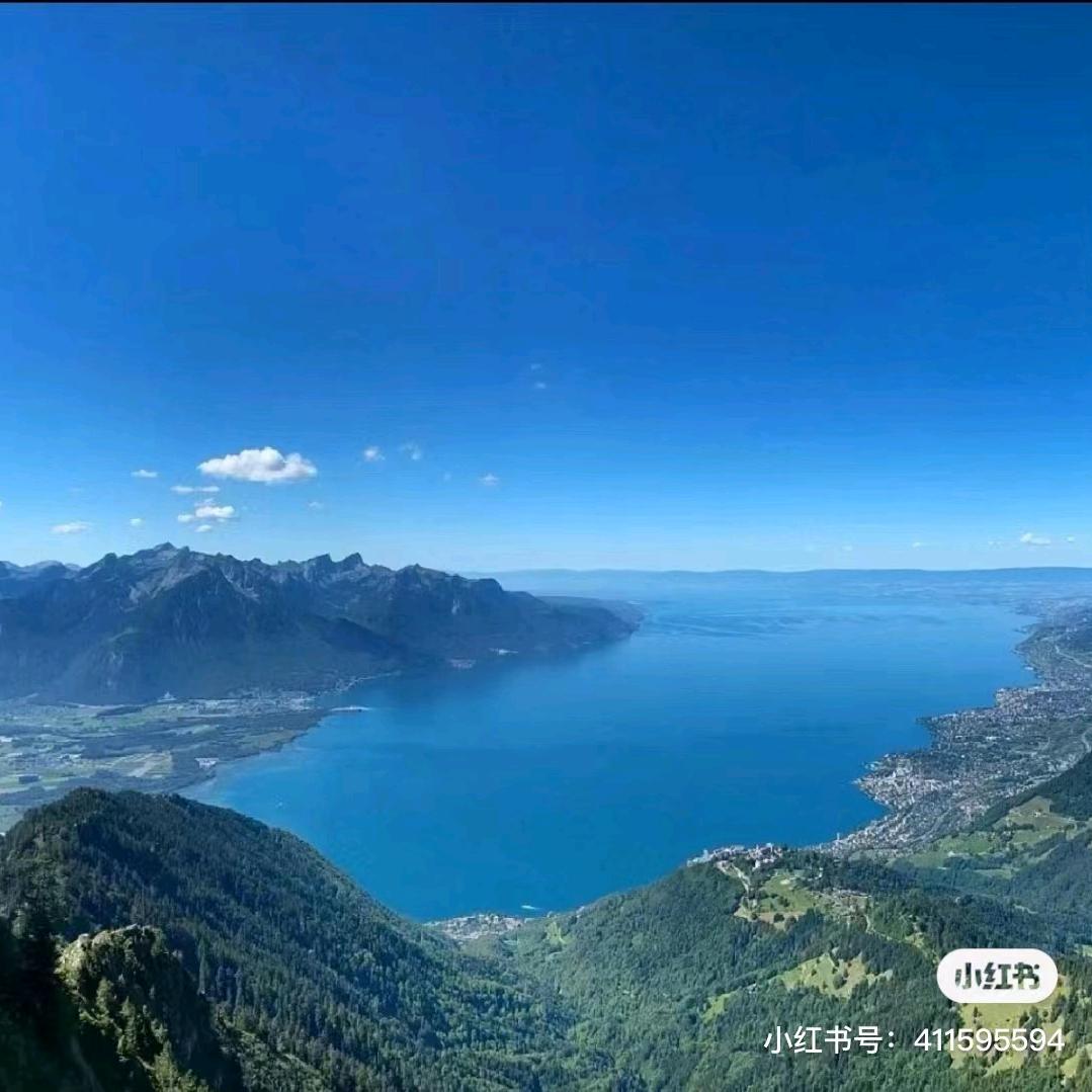 老高