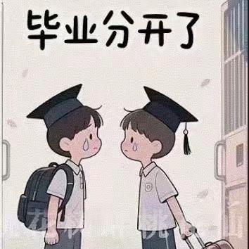 🌈风的痛