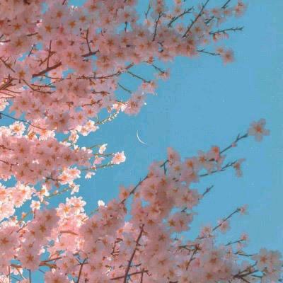 新光繁星