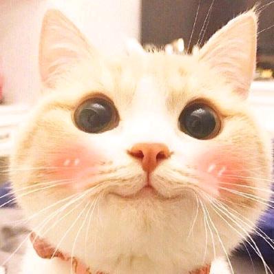 叽里咕噜叽里呱啦