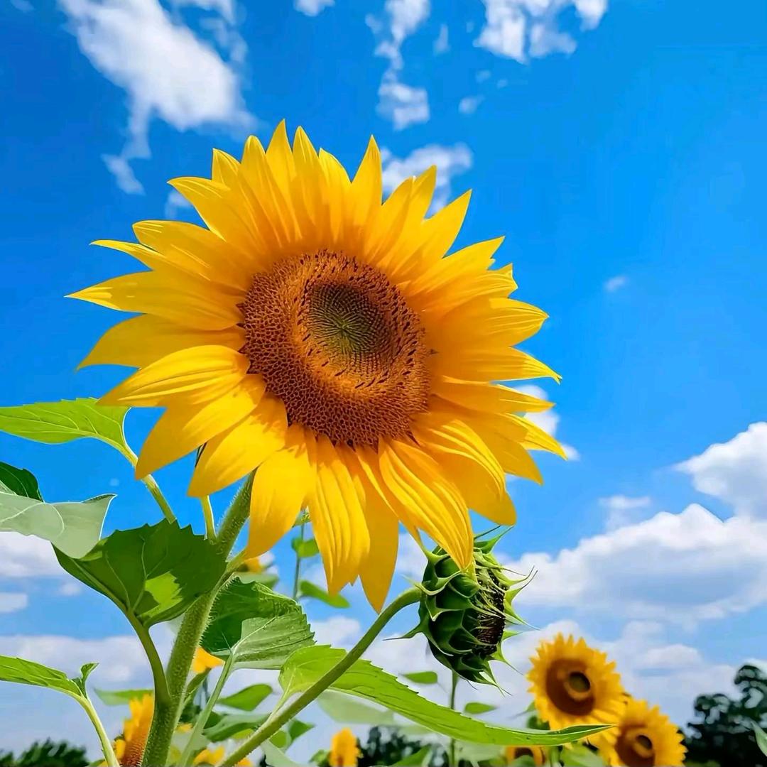 🌿木暖暖🌞