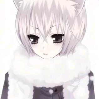 猫咪的世界下起了鱼