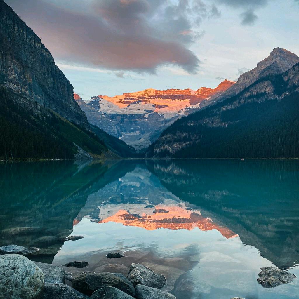 精诚所至金石为开