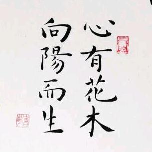妮宝