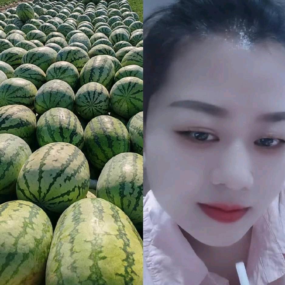 @真真新疆西瓜代办发全国互关