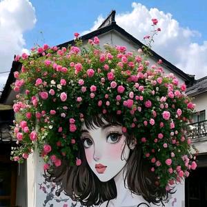 幸福的人生