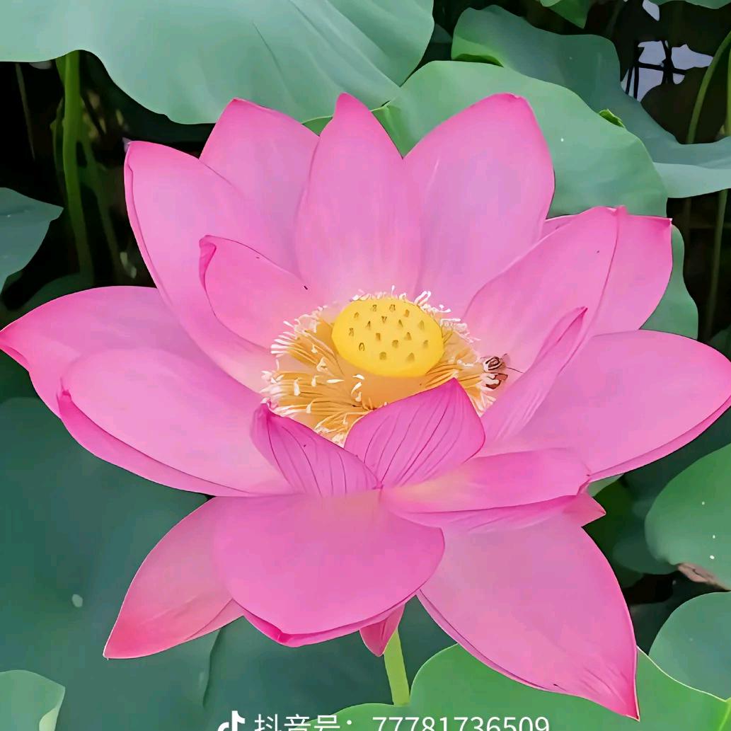 幸福健康