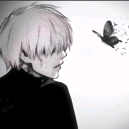鹤葵