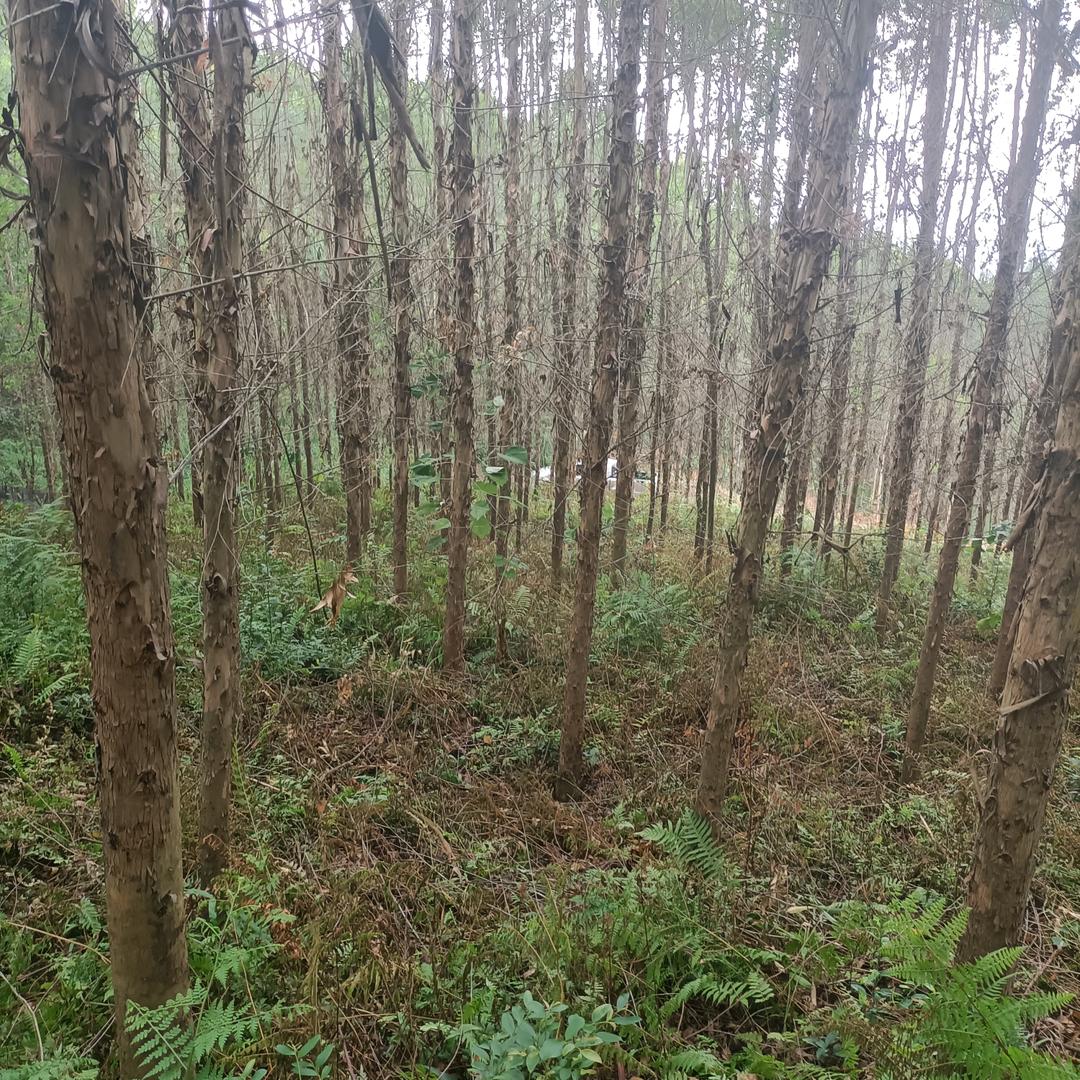 大海无边回头是岸