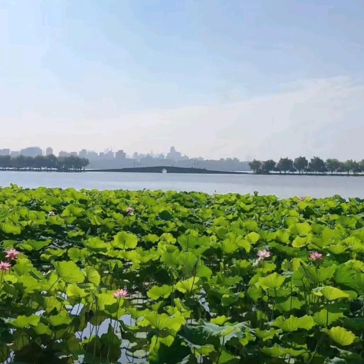 西湖