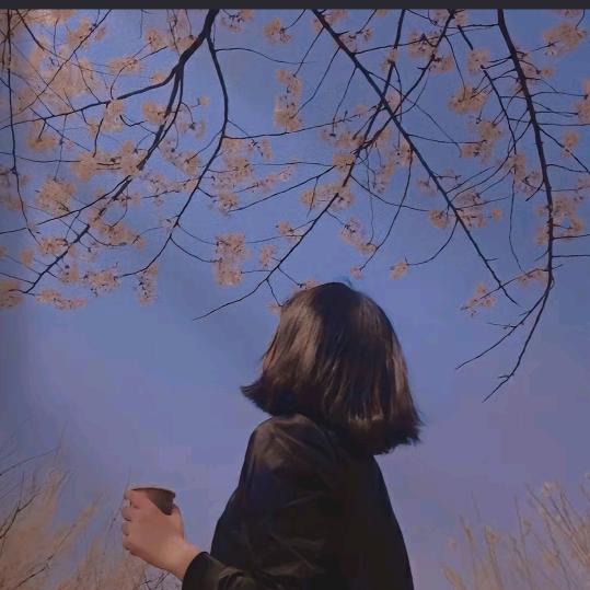 默汐