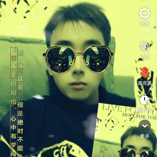 河南塑料花枝厂