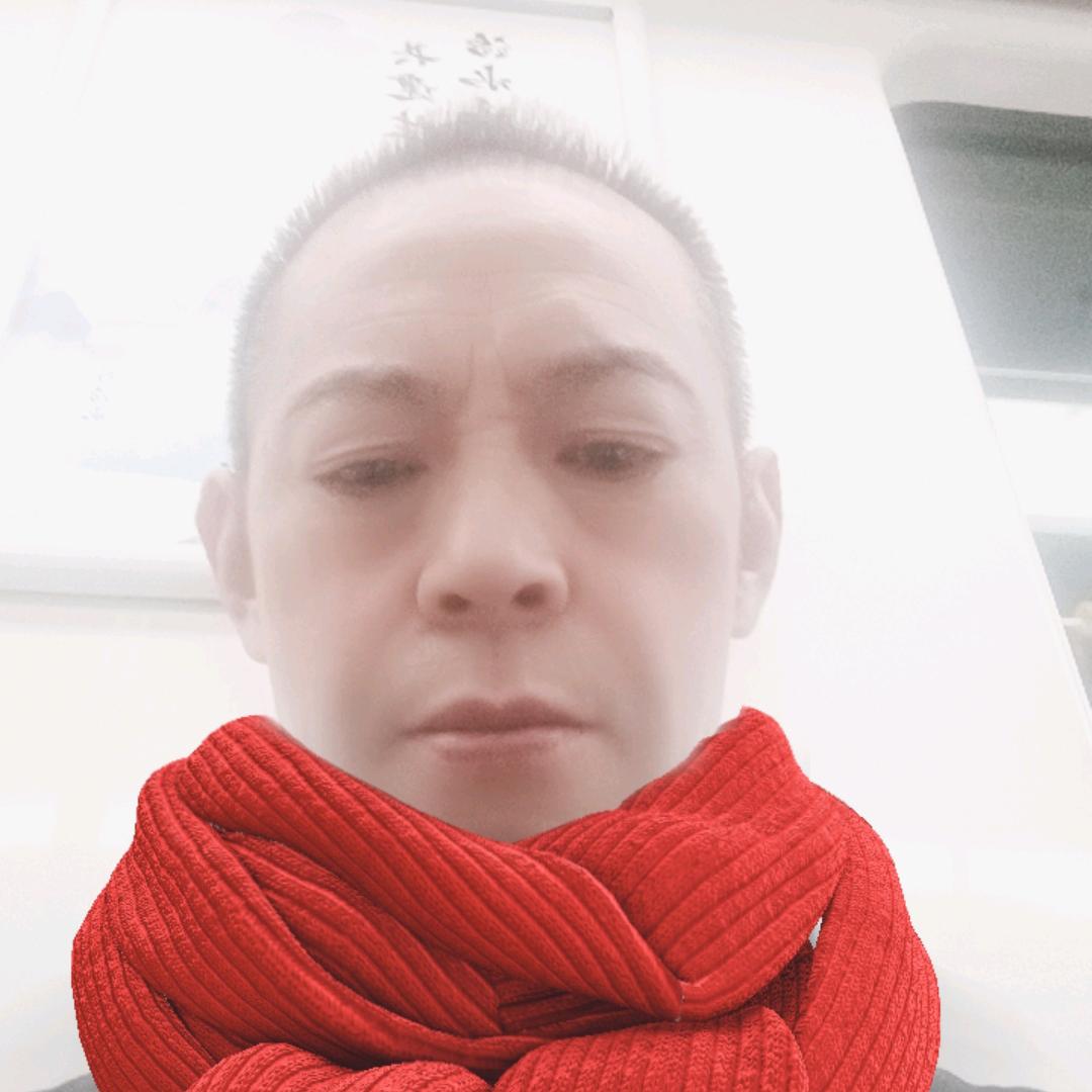 刘天河
