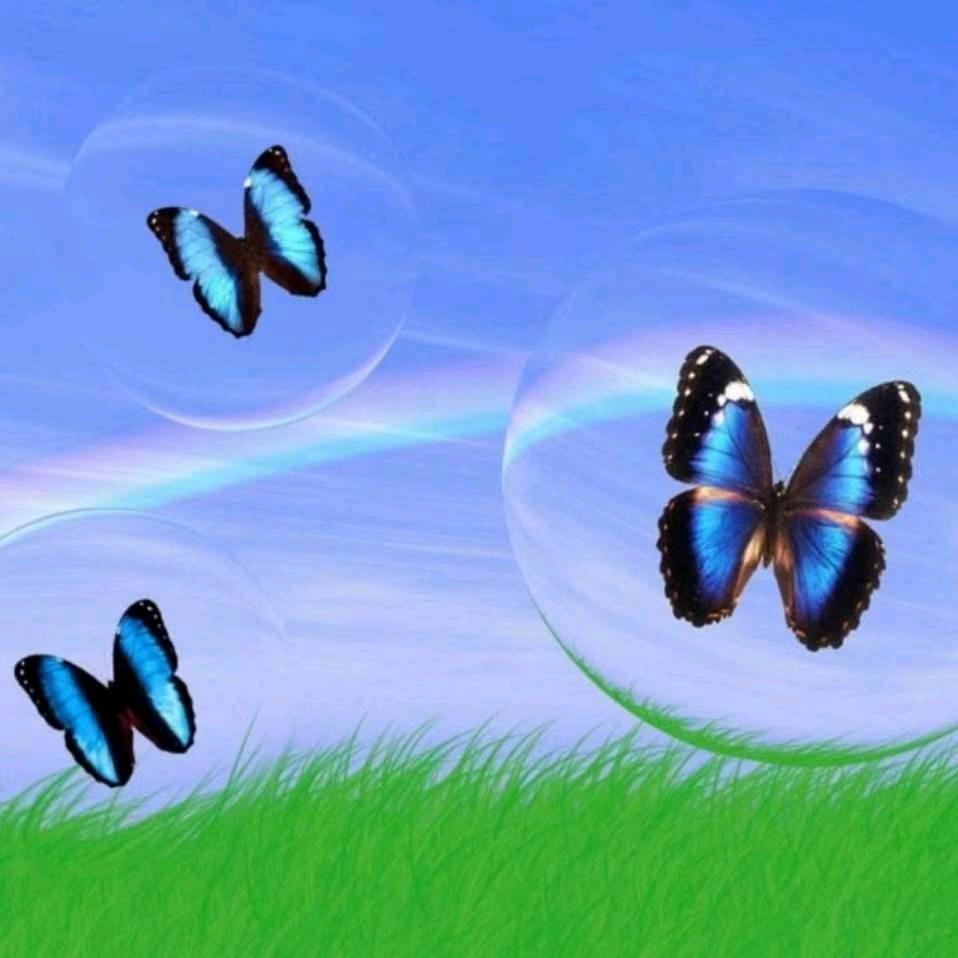 ╰*ぷ望★月ぶ*╯