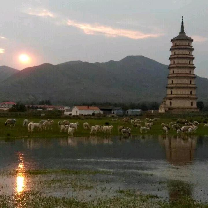 蒙古_229911940