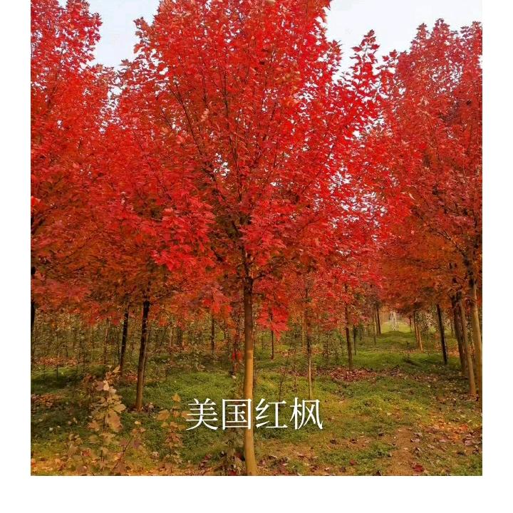 随缘