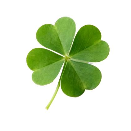 🍋婉ᦦ风¹⁰²⁰