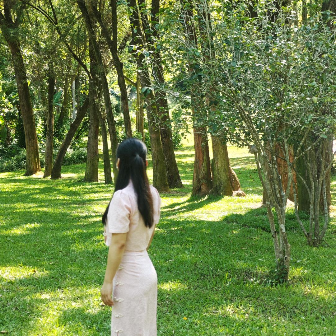吃货流氓兔