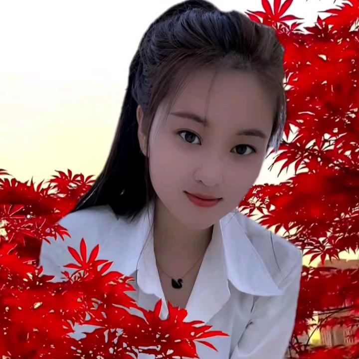 紫萱亦蝶668
