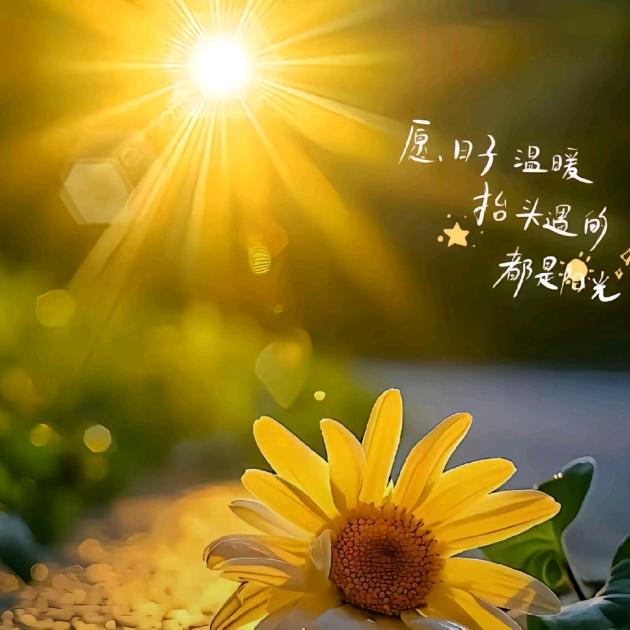 人心简单就迷人