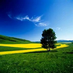 青山半夏一湖语