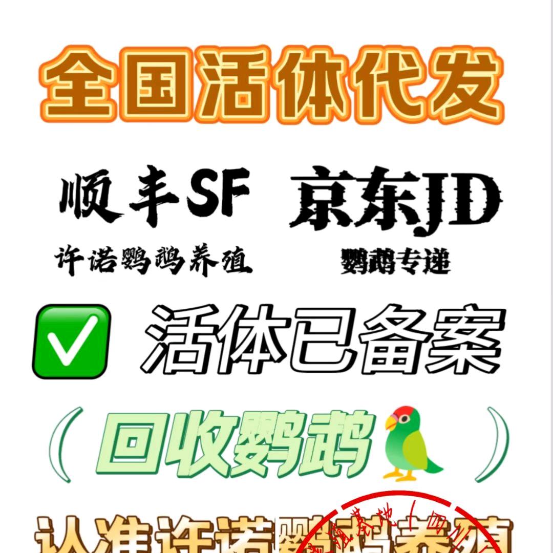 宠物京东代发,活体快递账户代开