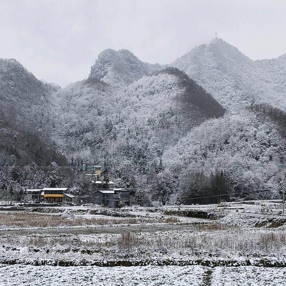 黄师傅