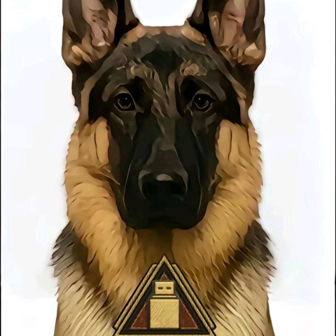 不懂啊啊啊啊啊