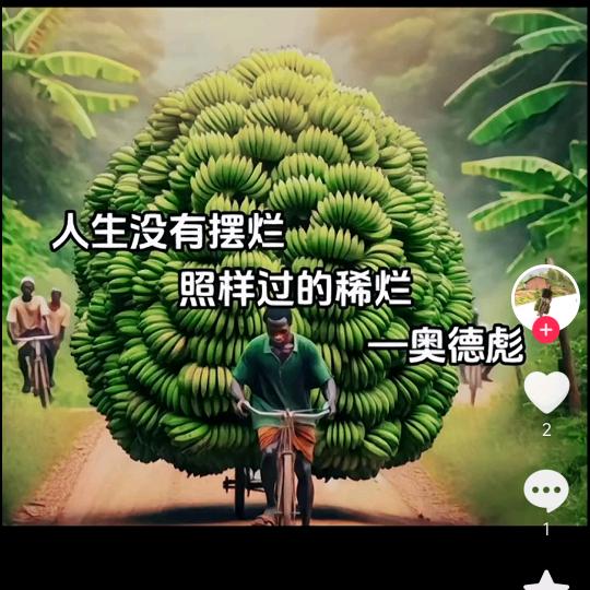 随遇而安。