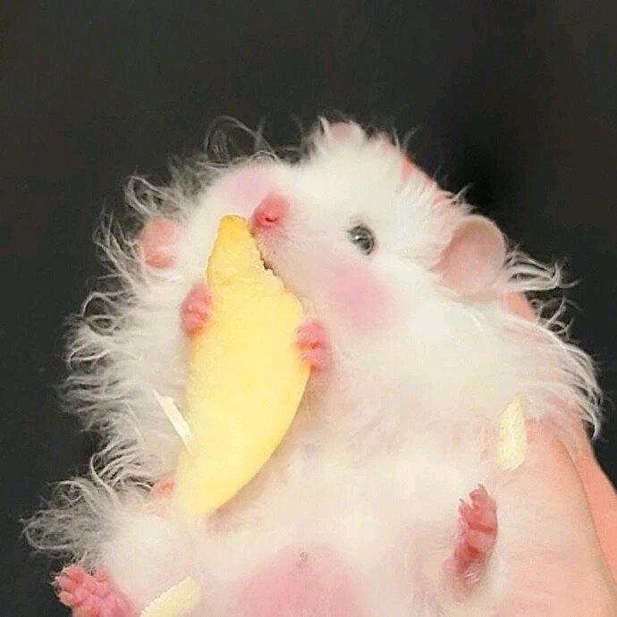 勿敛财