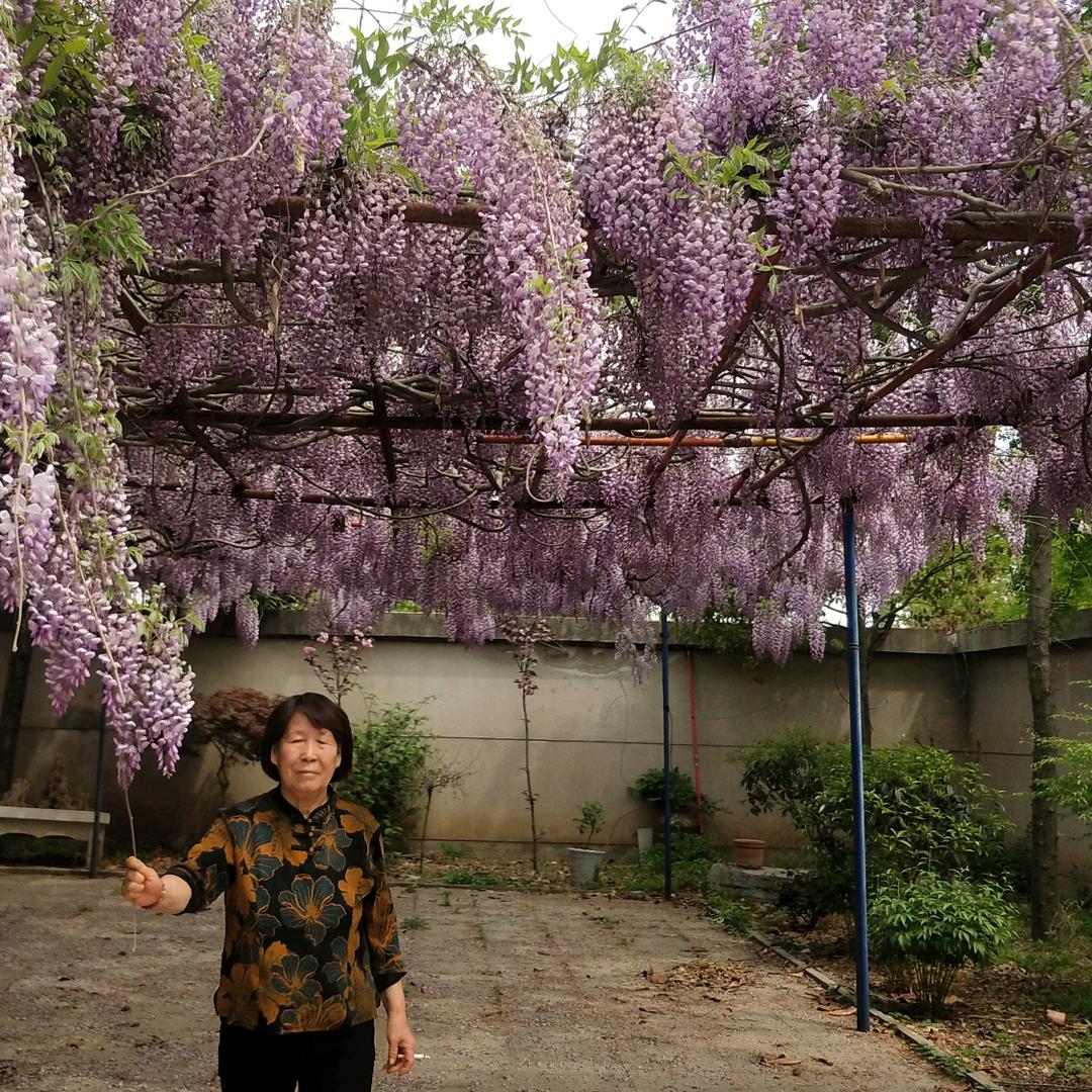 希望姐