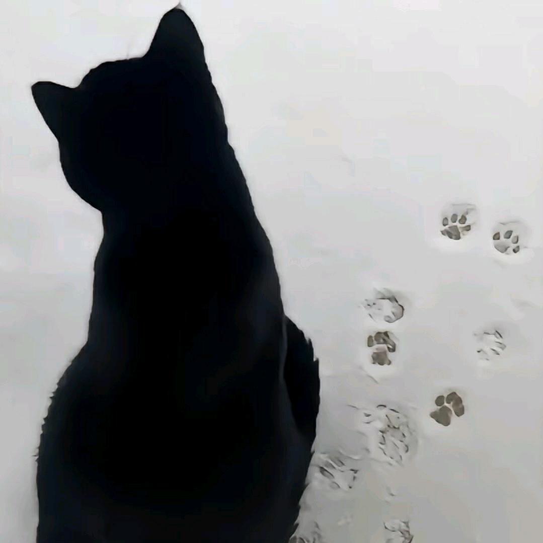七木兰