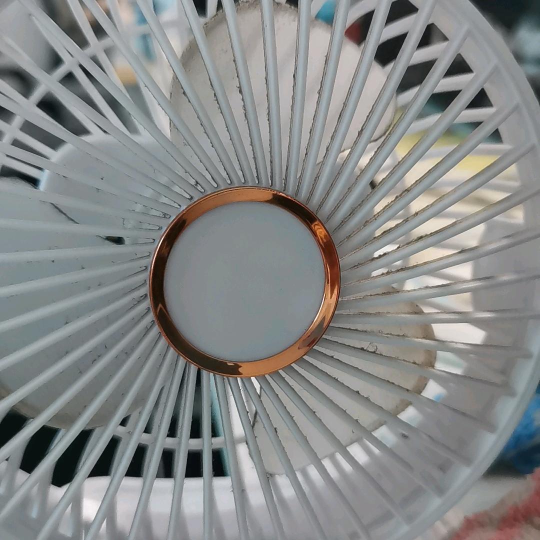 来凤蕨减