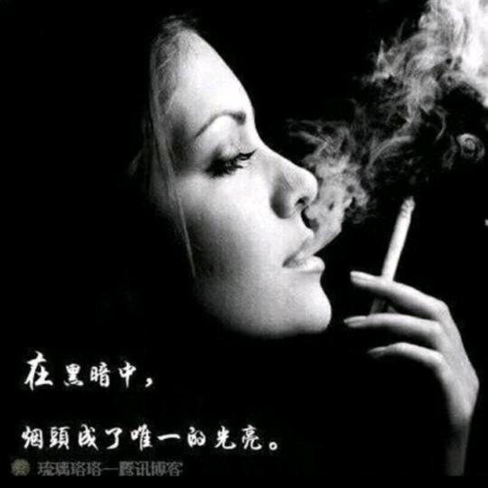💞凤💞儿💞