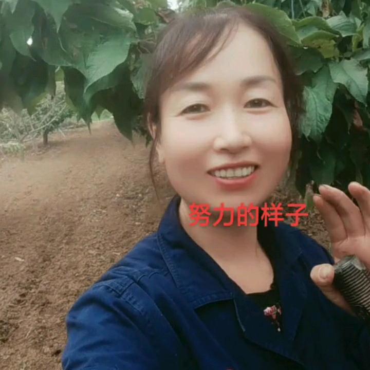 樱桃格格