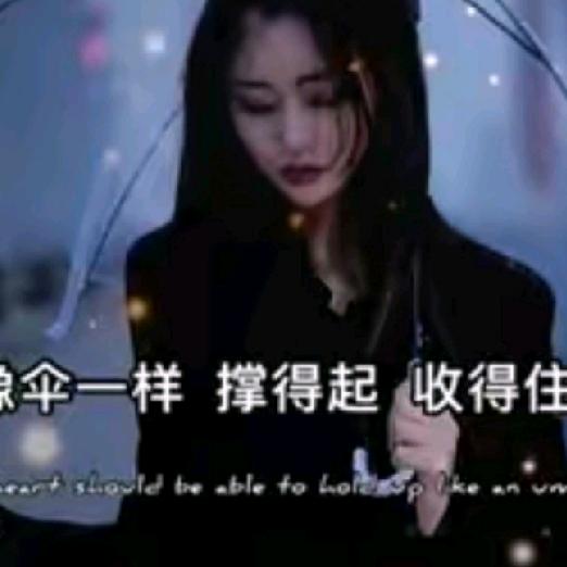 紫罗兰