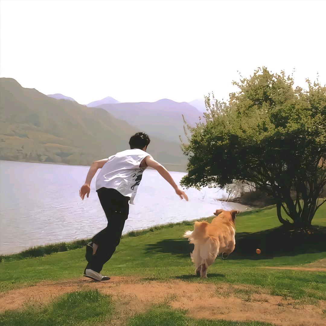 不知道叫啥O.o