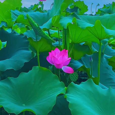 珍惜🌸