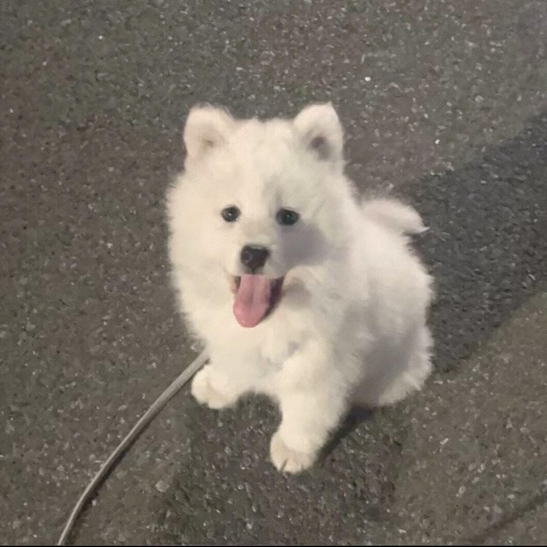 七六年的老男人