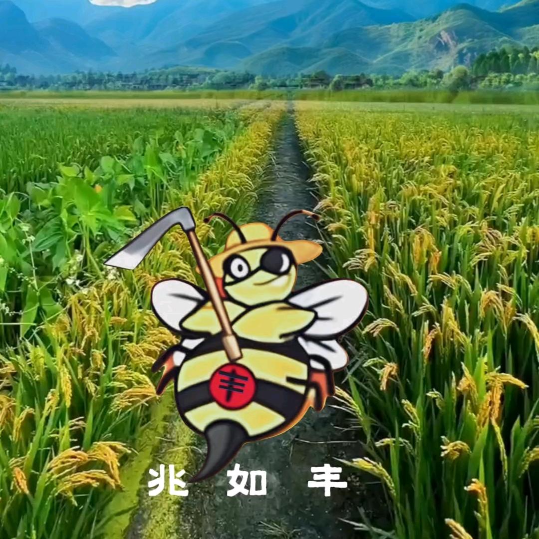 三叶农