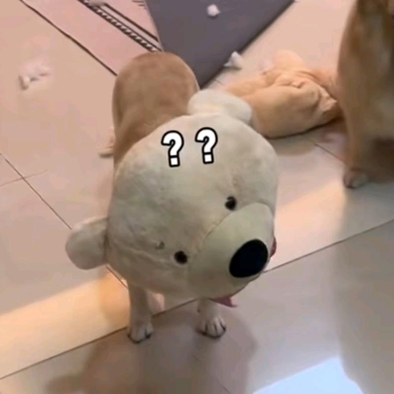 大只弱鱼