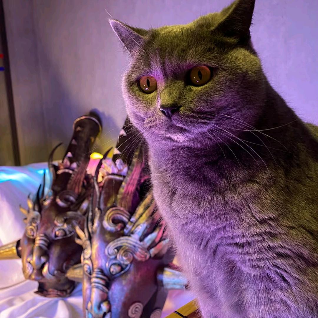 魔牙道具工作室